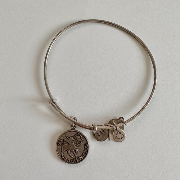 Alex and Ani bracelet Charm Bangle  Bundle of 6 - Picture 12 of 12